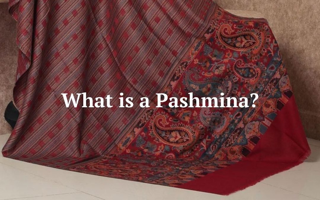 What is Pashmina