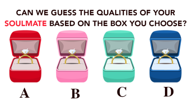 WE HELP YOU CHOOSE THE BOX