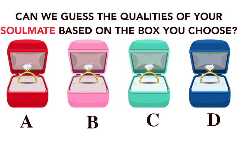 WE HELP YOU CHOOSE THE BOX