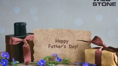 wild stone fathers day gifts