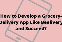 How to Develop a Grocery-Delivery App Like Beelivery and Succeed?