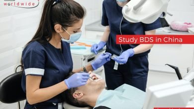 Study BDS in China