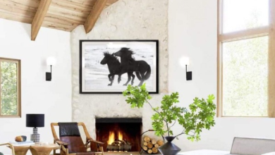 black and white animal wall art