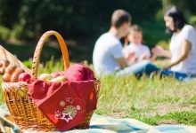 Best Picnic Spots In Florida