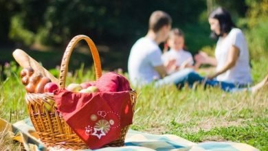 Best Picnic Spots In Florida