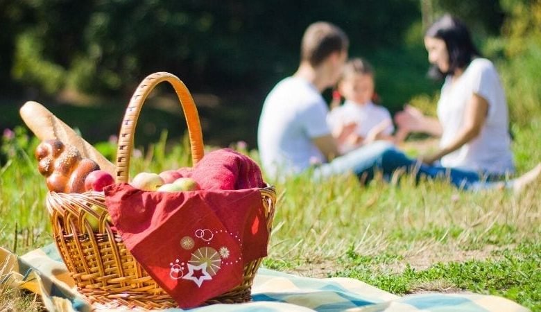 Best Picnic Spots In Florida