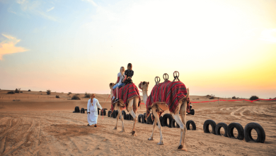 Dubai Desert Safari