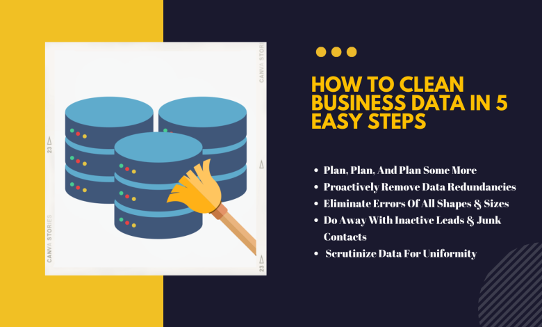 how to clean business data