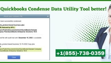 Quickbooks Condense Data Utility