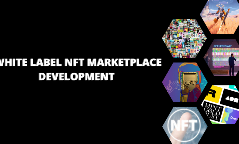 White Label NFT Marketplace 
