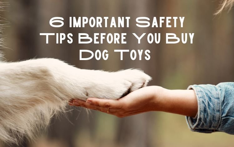 6 Important Safety Tips Before You Buy Dog Toys