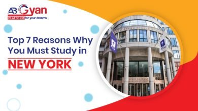 Top 7 Reasons Why You Must Study In New York