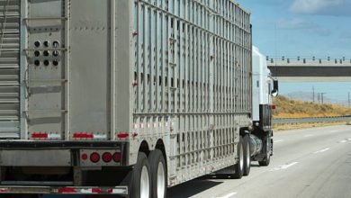 Ways to provide the best animal transport to your customers!