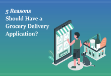 5 Reasons Should Have a Grocery Delivery Application?
