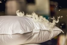 Hotel Quality White Goose Feather Pillows in Affordable Price