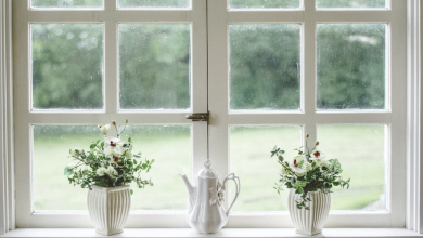 Double-panel window with decorations