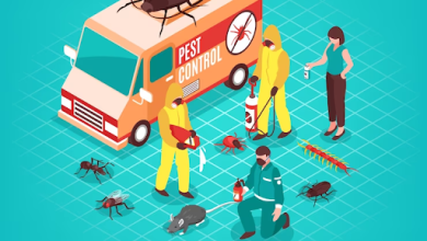 Protect Your Property with Bulwark Pest Control Solutions