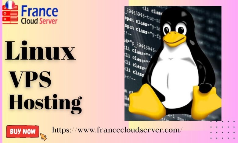 Linux vps hosting