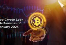 Top Crypto Loan Platforms as of January 2024