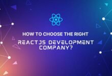 ReactJS Development company