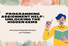 Programming Assignment Help