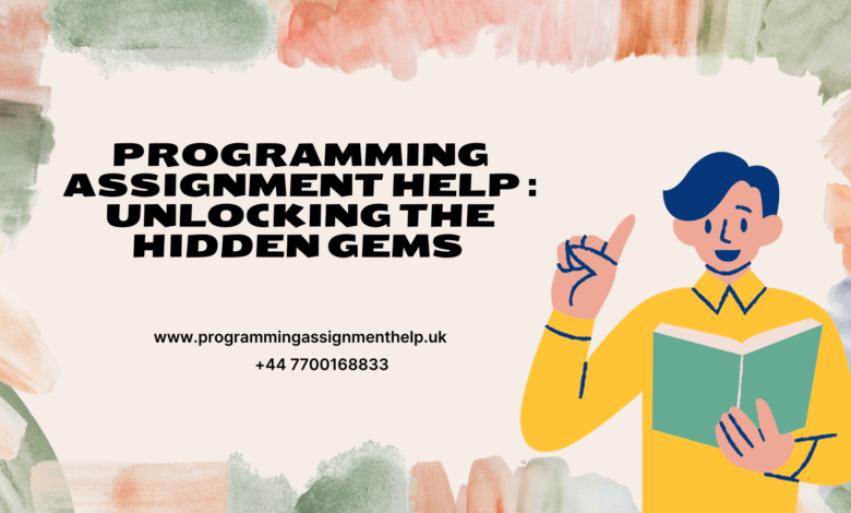 Programming Assignment Help